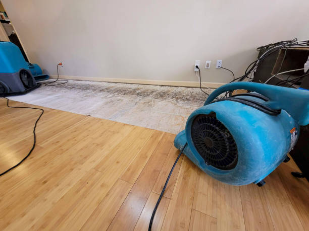 Professional Water Damage Repair technician working in Maryville, IL